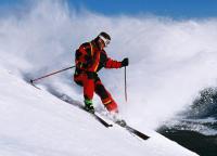 Удобные горные лыжи купить со скидкой